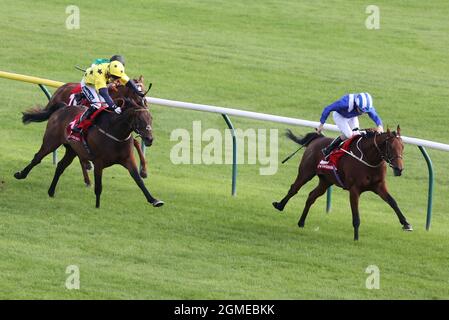 Maydanny, monté par le jockey Joe Fanning (à droite), remporte les piquets de la coupe Virgin Bet Doonside lors de la coupe d'or Virgin Bet Ayr à l'hippodrome d'Ayr, Ayr. Date de la photo: Samedi 18 septembre 2021. Banque D'Images