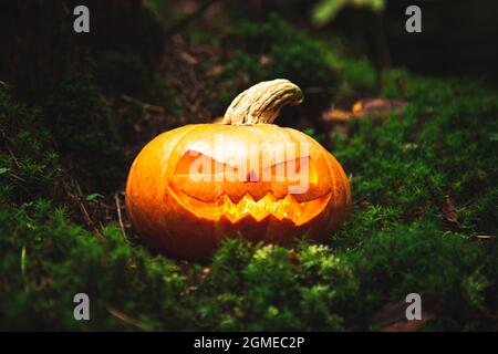 Lanterne de Jack dans une forêt mystique effrayante. Citrouille sculptée. Arrière-plan de Halloween. Banque D'Images