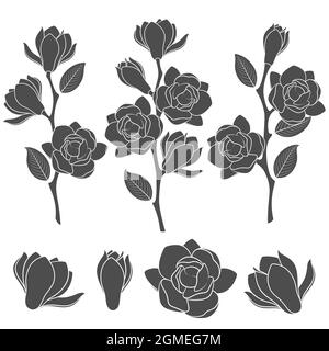 Jeu d'illustrations en noir et blanc avec branches de magnolia à fleurs. Objets vectoriels isolés sur fond blanc. Illustration de Vecteur