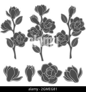 Jeu d'illustrations en noir et blanc avec branches de magnolia à fleurs. Objets vectoriels isolés sur fond blanc. Illustration de Vecteur