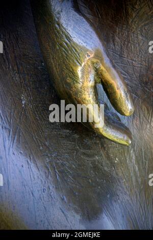 main de bronze sur sculpture de bronze Banque D'Images