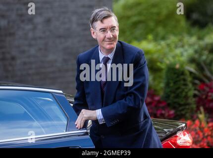 Jacob Rees-Mogg, ministre d'État chargé des possibilités de Brexit et de l'efficacité gouvernementale, à Downing Street pour une réunion du Cabinet. Banque D'Images