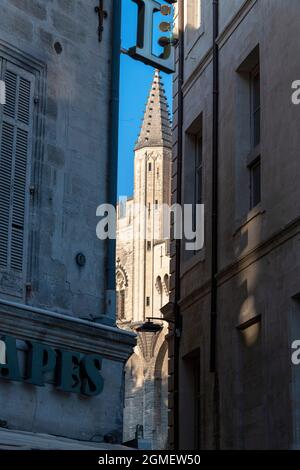 Portrait d'une des flèches du Palais des Papes, vue d'une allée d'Avignon France. Banque D'Images