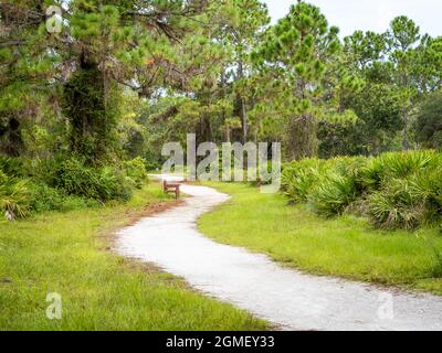 Sentier de randonnée dans le parc de Lemon Bay et le centre environnemental d'Englewood sur la côte du golfe de Floride, États-Unis Banque D'Images