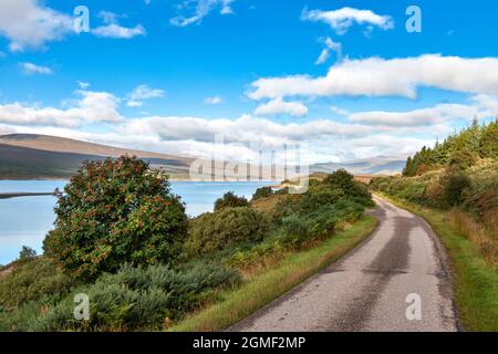 LOCH SHIN SUTHERLAND ECOSSE FIN ÉTÉ UNE ROUTE À VOIE UNIQUE POUR 17 MILES LE LONG DU LOCH Banque D'Images