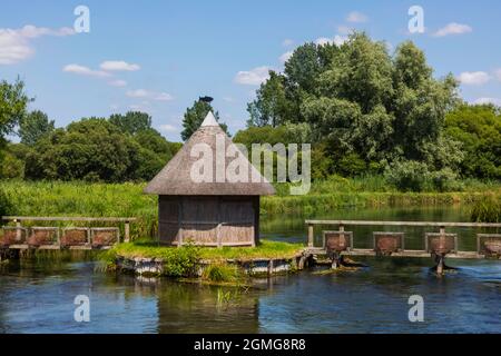 Angleterre, Hampshire, Test Valley, Stockbridge, Longstock, Domaine de Leckford, River Test et cabane traditionnelle de pêcheur de chaume Banque D'Images