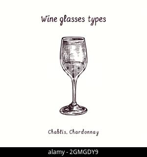 Collection types de verres à vin, Chablis, Chardonnay. Dessin d'une boisée noire et blanche à l'encre. Banque D'Images