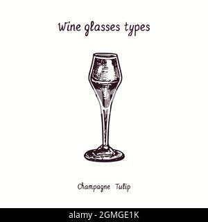 Collection types de verres à vin, tulipe à champagne. Dessin d'une boisée noire et blanche à l'encre. Banque D'Images