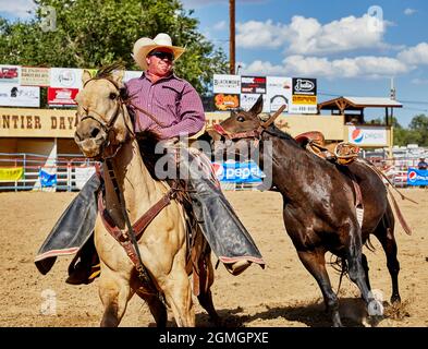 Prescott, Arizona, États-Unis - 12 septembre 2021 : cowboy à cheval tout en essayant d'attraper un cheval de bouc lors de la compétition de rodéo qui s'est tenue au Pres Banque D'Images