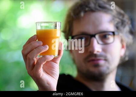 14 septembre 2021, Brandenburg, Beetzseheide/OT Ketzür: Achim Fießiger, directeur général de Mosterei Ketzür GmbH, se tient dans la boutique de la ferme et regarde la coloration du jus d'argousier fraîchement produit. La cidererie a été fondée en 2006 comme une entreprise à propriétaire unique et a été reprise par Achim Fießinger en octobre 2015. La petite entreprise située près du Beetzsee produit des jus de fruits à partir de fruits et légumes régionaux ou commercialisés de façon équitable ou fonctionne comme une cidererie contractuelle. (À dpa 'début limité dans la saison de cidery - moins de pommes' à partir de 19.09.2021) photo: Soeren Stache/dpa-Zentralbild/dpa Banque D'Images