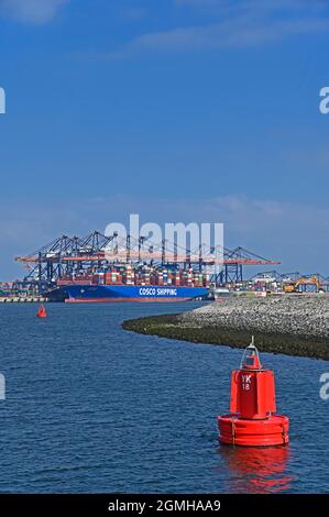 port de rotterdam (maasvlakte 2) / pays-bas - 2021-09-02: vue de prinses arianehaven sur yangtzekanaal et euromax containerterminal -- [cre Banque D'Images