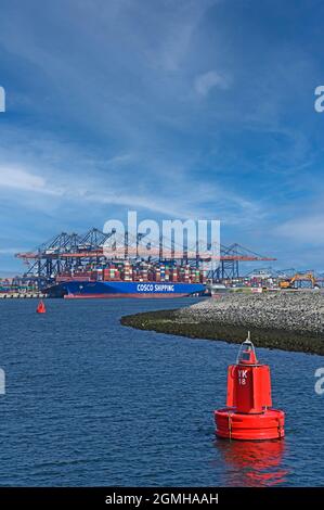 port de rotterdam (maasvlakte 2) / pays-bas - 2021-09-02: vue de prinses arianehaven sur yangtzekanaal et euromax containerterminal -- [cre Banque D'Images