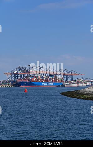 port de rotterdam (maasvlakte 2) / pays-bas - 2021-09-02: vue de prinses arianehaven sur yangtzekanaal et euromax containerterminal -- [cre Banque D'Images