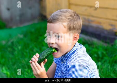 Joyeux garçon de six ans mangeant du concombre vert frais et parfumé dans le village à l'extérieur sur fond d'herbe verte. Mise au point sélective. Portrait Banque D'Images