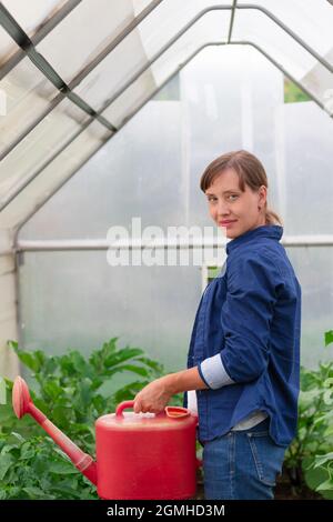 Une femme dans une chemise bleue verse un arrosoir sur les plantes en serre lors d'une chaude journée d'été. Mise au point sélective. Gros plan Banque D'Images