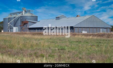 Silos et grand hangar à côté de la ligne de chemin de fer dans la région rurale de NSW Australie Banque D'Images