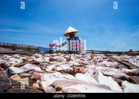 Séchage du poisson dans la province de Ba Ria Vung Tau, sud du Vietnam Banque D'Images