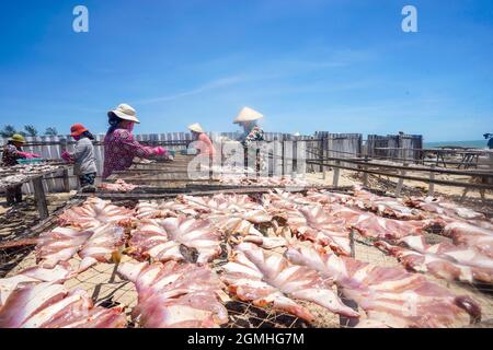 Séchage du poisson dans la province de Ba Ria Vung Tau, sud du Vietnam Banque D'Images