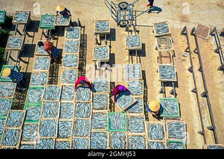 Séchage du poisson dans la province de Ba Ria Vung Tau, sud du Vietnam Banque D'Images