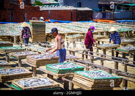 Séchage du poisson dans la province de Ba Ria Vung Tau, sud du Vietnam Banque D'Images