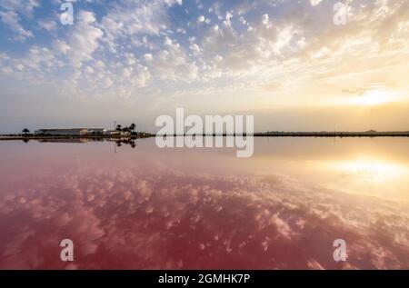 Réflexions de bâtiments et de palmiers dans les lacs rouges de Salinas de San Pedro del Pintar, Murcia, Espagne Banque D'Images