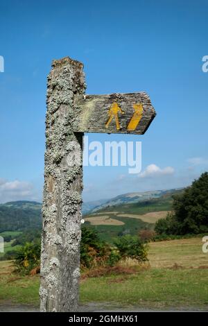 Panneau de sentier sur la promenade de la vallée de Wye sur Eppynt, près de Builth Wells, Powys, pays de Galles. La borne en bois est recouverte de lichen Banque D'Images