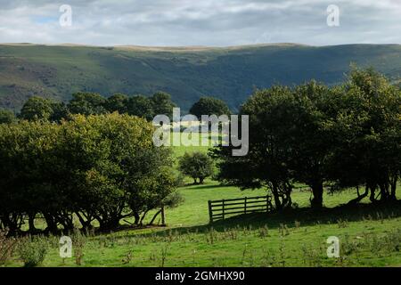 Terres agricoles luxuriantes au-dessous de Pant-y-llyn Hill, Eppynt Mynd, près de Builth Wells, Powys, pays de Galles, ROYAUME-UNI Banque D'Images