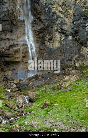 Gämsen beim Wasserfall im Bondertal, Adelboden. Escalade du chamois sous la cascade de la vallée de Bonder. Prairies alpines sur pentes raides sous haute falaise Banque D'Images