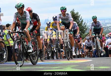 19 septembre 2021, Hessen, Königstein-Mammolshain: Le peloton avec Nils Politt (M) de Team Bora Hansgrohe est à l'ascension du Mammolshainer Stich dans la course cycliste UCI WorldTour Eschborn-Frankfurt. La 60ème édition du classique allemand du cyclisme avec finition à Francfort conduit à plus de 187.4 kilomètres. Photo: Arne Dedert/dpa Banque D'Images