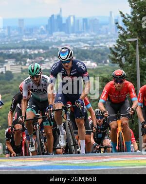 19 septembre 2021, Hessen, Königstein-Mammolshain: Le peloton avec Emanuel Buchmann (l) de Team Bora Hansgrohe est à l'ascension du Mammolshainer Stich pendant la course cycliste UCI WorldTour Eschborn-Frankfurt. La 60ème édition du classique allemand du cyclisme avec finition à Francfort conduit à plus de 187.4 kilomètres. Photo: Arne Dedert/dpa Banque D'Images