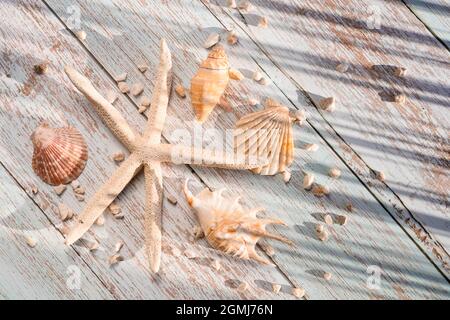 Coquillages et étoiles de mer sur fond de bois. Été, concept de voyage Banque D'Images