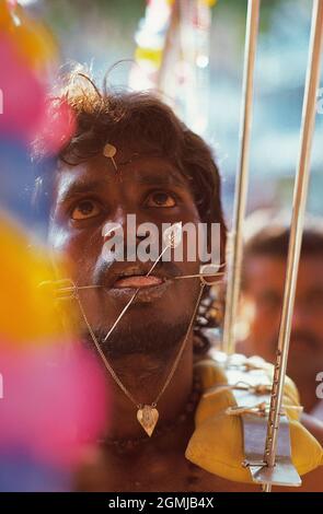 Singapour. Fête religieuse de Thaipusam. Gros plan de l'homme avec des brochettes à travers son visage. Banque D'Images