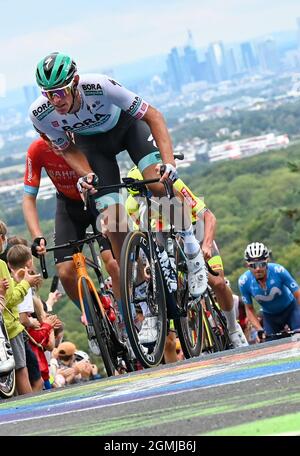 19 septembre 2021, Hessen, Königstein-Mammolshain: Le peloton avec Nils Politt (l) de Team Bora Hansgrohe est à l'ascension du Mammolshainer Stich pendant la course cycliste UCI WorldTour Eschborn-Frankfurt. La 60ème édition du classique allemand du cyclisme avec finition à Francfort conduit à plus de 187.4 kilomètres. Photo: Arne Dedert/dpa Banque D'Images