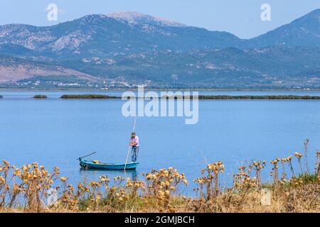 Pêcheur, pêche à la lance dans le lagon de Tsoukaliou au parc environnemental de Salaora, dans le golfe Ambracien, dans la municipalité d'Arta, Epirus, Grèce. Banque D'Images