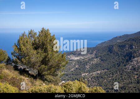 Randonnée autour du puig de galatzo, Majorque Banque D'Images