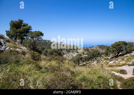 Randonnée autour du puig de galatzo, Majorque Banque D'Images