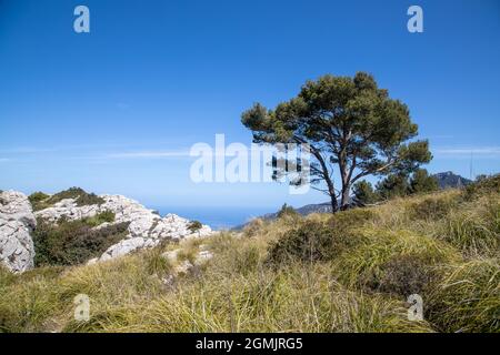 Randonnée autour du puig de galatzo, Majorque Banque D'Images