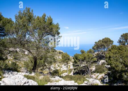 Randonnée autour du puig de galatzo, Majorque Banque D'Images