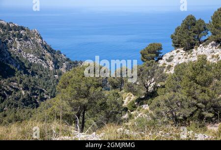 Randonnée autour du puig de galatzo, Majorque Banque D'Images