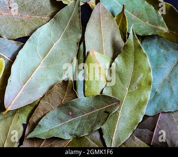 Baie verte séchée avec fond texturé. Fond de texture des feuilles de baie séchées aromatiques Banque D'Images