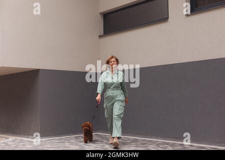 Femme marchant dans la ville avec Toy Poodle marron Banque D'Images