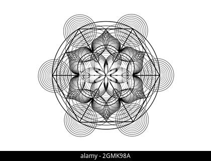 Symbole de la graine de vie géométrie sacrée. Logo icône Mandala mystique géométrique de la fleur ésotérique alchimie de la vie. Lignes noires vectorielles, Yantra, chakra lotus Illustration de Vecteur