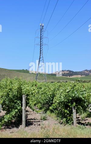 Tour de transmission ou Electricité Pylon, Napa, Californie Banque D'Images