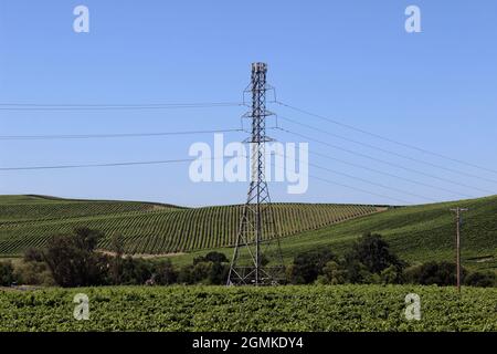 Tour de transmission ou Electricité Pylon, Napa, Californie Banque D'Images