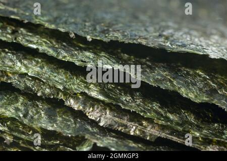 Gros plan de feuilles d'algues séchées comestibles Nori / Pyropia utilisées comme ingrédient alimentaire pour la fabrication de sushis dans la cuisine japonaise et coréenne. Banque D'Images