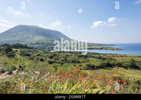 Paysage côtier, péninsule de Dingle (Corca Dhuibhne), comté de Kerry, République d'Irlande Banque D'Images