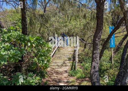 Un escalier à travers les arbres et arbustes indigènes jusqu'à la plage Banque D'Images