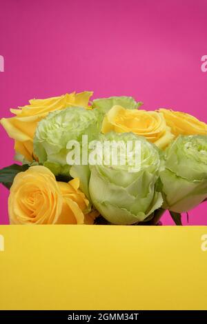 tête de roses dans un bouquet, arrangement floral avec le gros plan des pétales et leur texture en studio avec un fond de différentes couleurs, beauté Banque D'Images