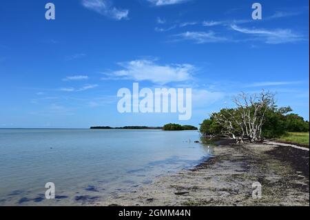 Magnifique paysage de haute altitude à la fin de l'été sur la baie de Floride dans le parc national des Everglades, en Floride. Banque D'Images