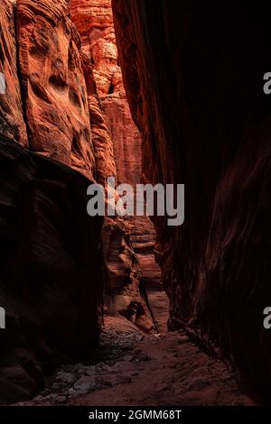 Dark Slot Canyon avec Un mur orange vif en arrière-plan dans le sud de l'Utah Banque D'Images